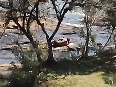 Shameless couple gets it on at the beach of a local lake