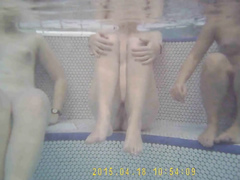 Three fillies enjoy the warm water in the sauna pool