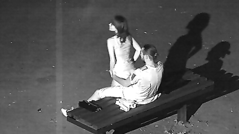 Spying on a wedding guests having sex on a public park bench